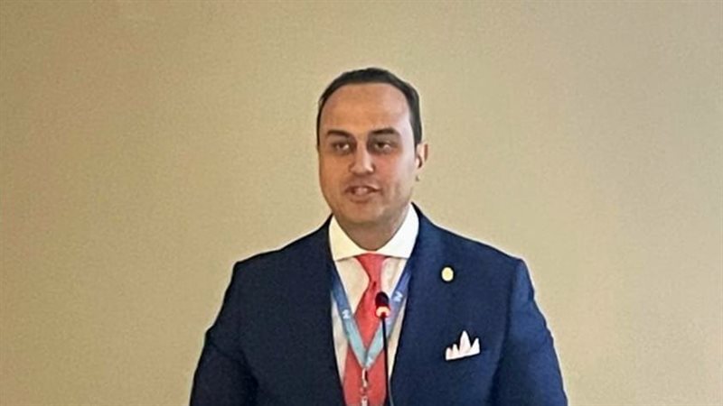 رئيس هيئة الرعاية