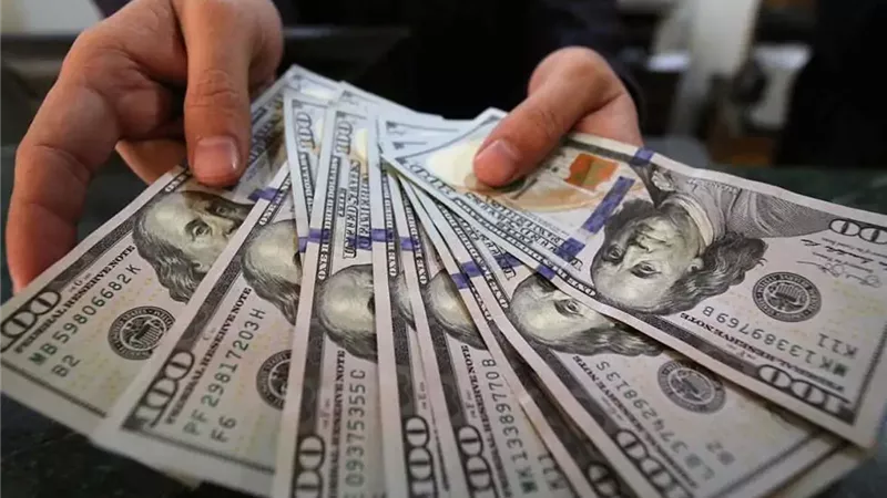 استقرار سعر الدولار