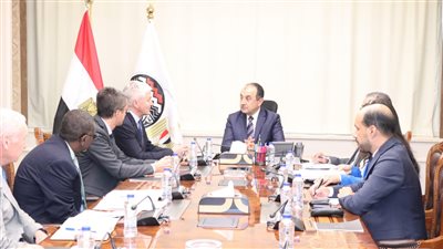 إنشاء محطة شمسية بمجمع الألومنيوم بنجع حمادي .. أبرز توصيات وزير قطاع الأعمال