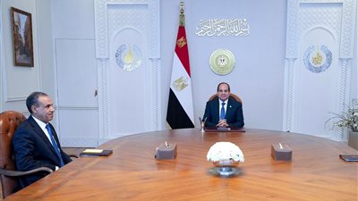 الرئيس السيسي يتابع شؤون المصريين في الخارج مع وزير الخارجية 