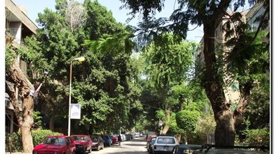 سبب زلزال المعادي اليوم.. القومي للبحوث الفلكية يكشف قوة الهزة الأرضية