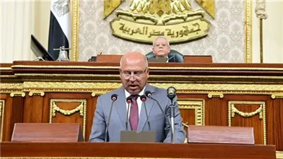 وزير الصناعة يكشف أمام مجلس النواب عن 152 فرصة استثمارية جديدة