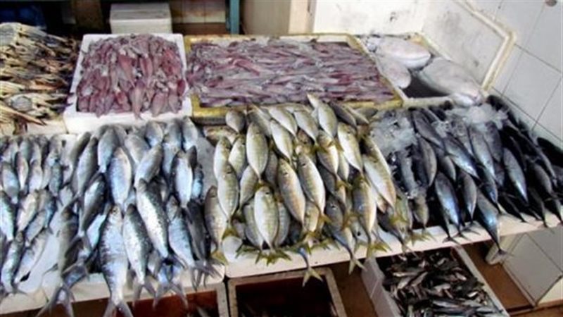 أسعار السمك اليوم