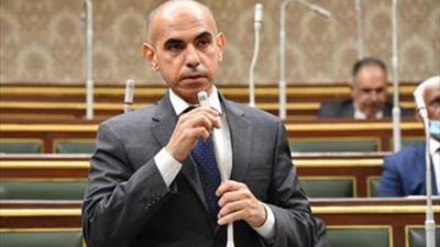 أمين دفاع النواب: مصر وإريتريا والصومال قادرون على حفظ الاستقرار بالقرن الأفريقي | خاص