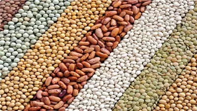 غذاء الطبيعة المثالي.. تعرف على جدول السعرات الحرارية في البقوليات
