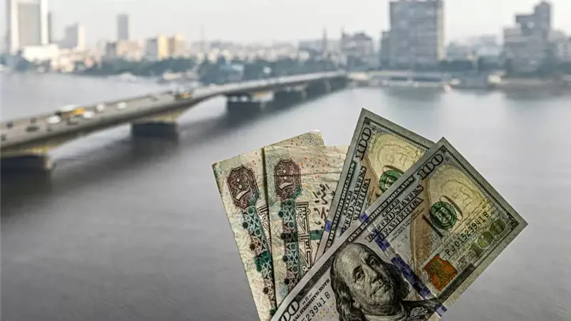 سعر الدولار اليوم