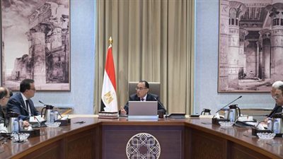 الاسم العلمي بديلًا للتجاري.. هل يقضي المقترح الحكومي على أزمة نقص الدواء؟