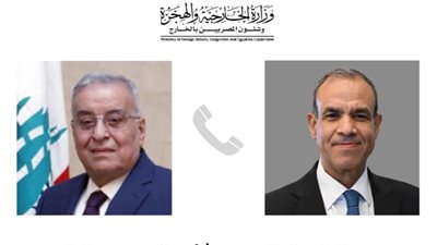 وزير الخارجية يؤكد دعم مصر لتمكين المؤسسات الوطنية اللبنانية
