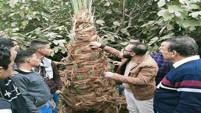 الدبلومات هتدخل فلوس .. المدارس الزراعية لإنتاج العسل والصناعية لصيانة السيارات