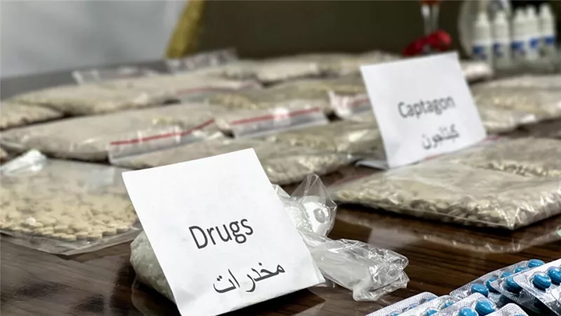 ضبط عناصر إجرامية