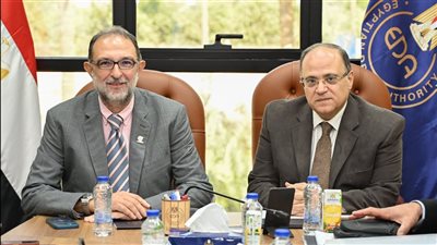 هيئة الدواء المصرية: تعاون جديد لضمان سلامة الأدوية والغذاء في مصر