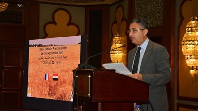 وزير التموين: مصر أكبر الدول المستوردة للأقماح.. ومباحثات للاتجاه لفرنسا لسد العجز