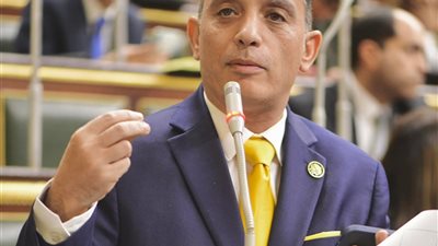 لن ينتج إلا مزيدا من الفشل.. «البياضي» يهاجم المجلس الوطني للتعليم