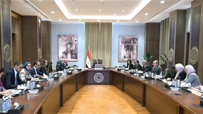 كامل الوزير: خطة حكومية لتعديل حدود الكربون وتعزيز كفاءة الطاقة للقطاع الصناعي 