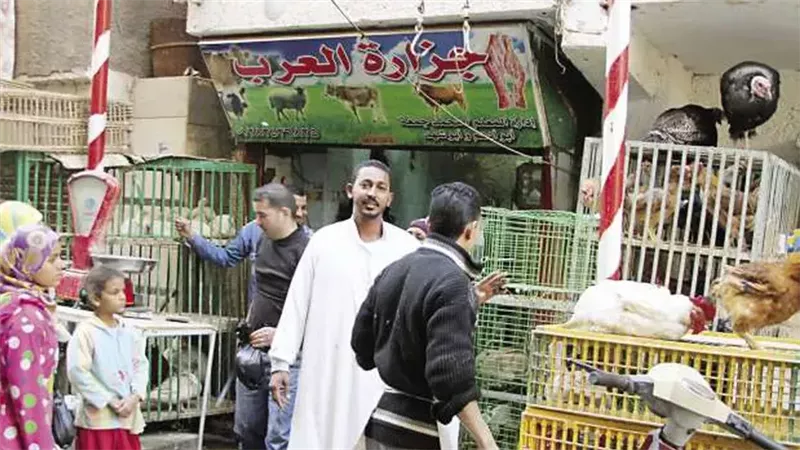 بيع طيور مذبوحة -