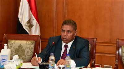 برلماني: محاولات تشويه صورة مصر لن تثنيها عن دورها الثابت في دعم القضية الفلسطينية