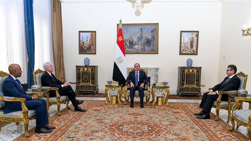 الرئيس السيسي يستقبل