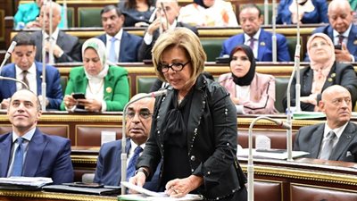 مشيرة خطاب: قانون الإجراءات الجنائية الجديد يتماشى مع المعايير الدولية لحقوق الإنسان