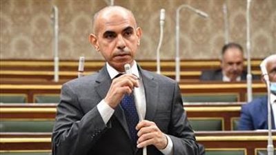 عبد الراضي يفتح النار على وزارة الصناعة بسبب صندوق دعم المشروعات التعليمية