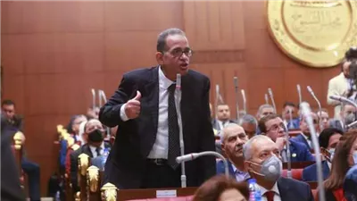 عضو بالشيوخ: الحكومة هي المسؤول الأول عن تحويل الهجرة الشرعية إلى غير شرعية