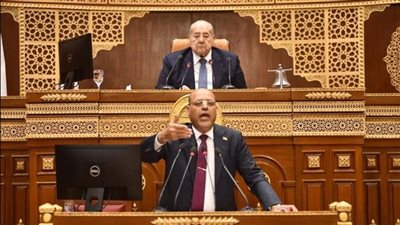 وزير العمل: واجهنا الهجرة غير الشرعية بحزمة إجراءات