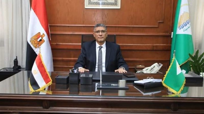 المهندس عادل النجار،