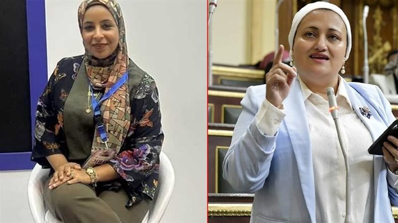 النائبة سناء السعيد