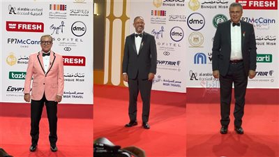 اطلالات النجوم في مهرجان القاهرة السينمائي 2024.. علم فلسطين يزين ملابسهم