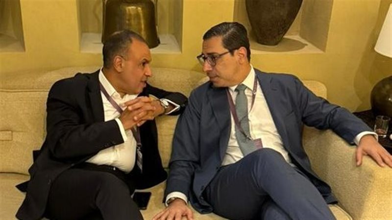 وزير الخارجية يبحث