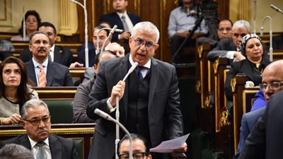 رئيس خارجية النواب: مصر مأوى كل خائف أو مطرود منذ فجر التاريخ