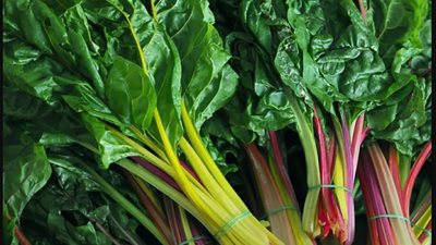 السلق.. كنز غذائي من الفيتامينات والمعادن وفوائده مذهلة