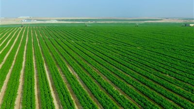 كيفية الحصول على أرض زراعية من الدولة 2025.. الشروط والمستندات المطلوبة