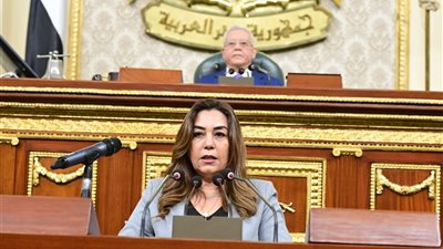 وزيرة التنمية المحلية لـ 