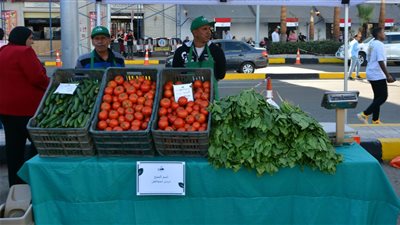 موعد افتتاح سوق اليوم الواحد بحلوان.. وزير التموين : التخفيضات تصل لـ 50% 