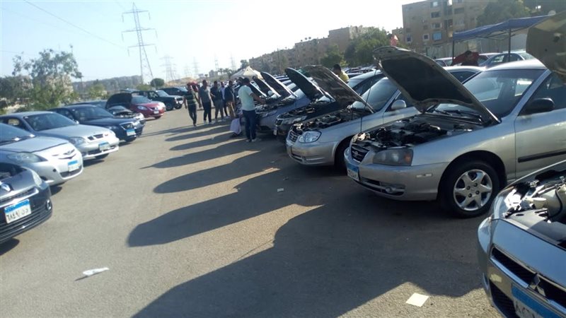 هل أسعار السيارات