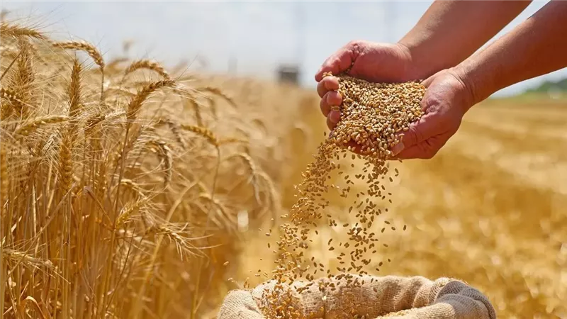 الاكتفاء الذاتي من