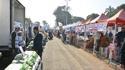  هل تتاثر مصر بـ سبب الحرب بين الهند وباكستان 2025؟