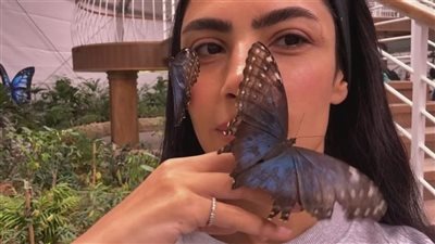 بسبب فيديو الفراشات.. هدى المفتى تتصدر ترند محركات البحث جوجل 