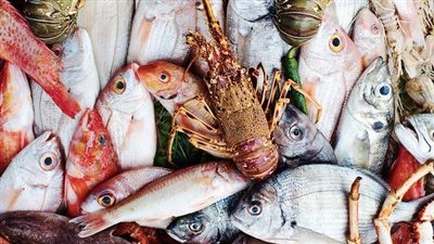 أسعار سوق السمك اليوم السبت 23 نوفمبر 2024.. البلطي بـ45 جنيهًا