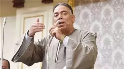 برلماني: رفع أسماء 716 مواطن من القوائم الإرهابية يحفظ حقوقهم القانونية