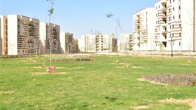 التسجيل في موقع مسكن لحجز الشقق 2024.. رابط التقديم والخطوات