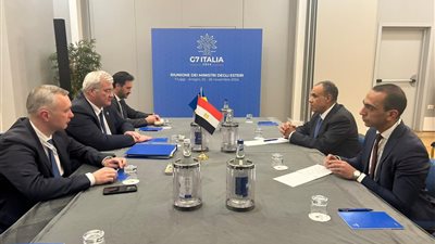 وزير الخارجية يؤكد دعم مصر لتدشين تعاون ثلاثي مع أوكرانيا في إفريقيا