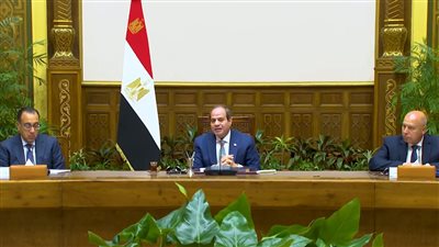 السيسي: أنشأنا 25 جامعة تدرس لأبنائنا علوم العصر علشان نقدر نصنع كل حاجة 