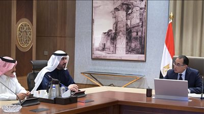 مصر والإمارات يؤكدان على ضرورة التعاون المشترك في مجال الاستثمار