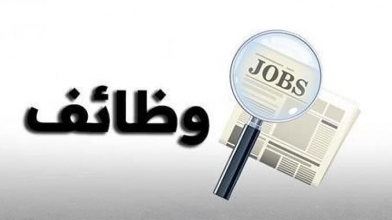 وظائف وزارة النقل