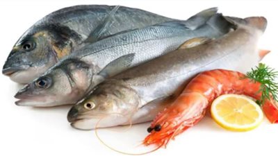 أسعار السمك والجمبري اليوم الإثنين 16 ديسمبر 2024