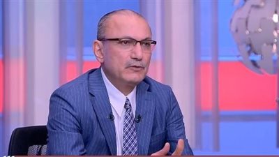 سفير تركيا في القاهرة يكشف دور بلاده في سقوط النظام السوري