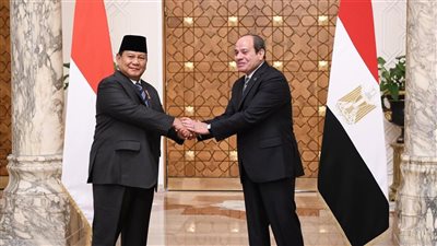  زيارة رئيس اندونيسيا لمصر.. دبلوماسيون: البلدان شاركا في تأسيس حركة عدم الانحياز