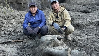 العثور على أنثى ماموث محفوظة بالكامل بين الثلوج في روسيا