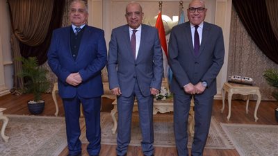 المنتجات المصرية تنافس في السوق العالمية.. صناعة الألواح الشمسية تحقق طفرة